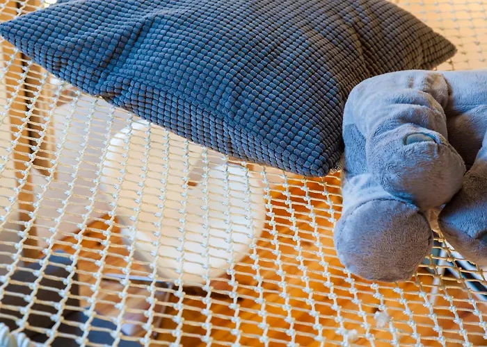 Apartment Loft Lx Factory